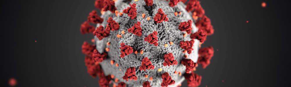 Blog Coronavirus