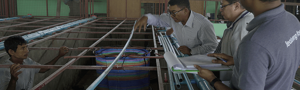 Blog Fish Farm