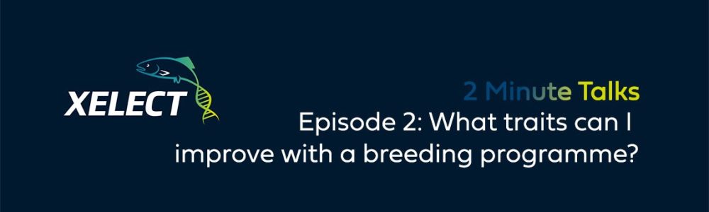 Blog-Image-2-Min-talks-Ep2