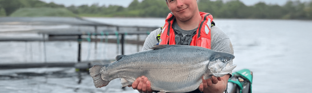 Blog Kames Fish