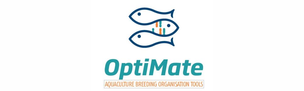 OPtimate